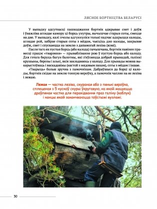 Лясное бортнiцтва Беларусi фото книги 6