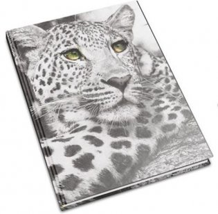 Записная книжка "Леопард" (А6) фото книги