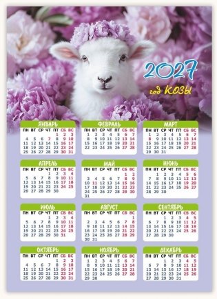 Календарь настенный листовой на 2027 год. "Символ года" фото книги