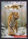 Марочный лист (марка) "Уссурийский тигр", арт. Ч-135 фото книги маленькое 2