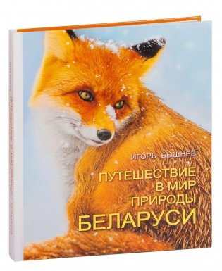 Путешествие в мир природы Беларуси фото книги