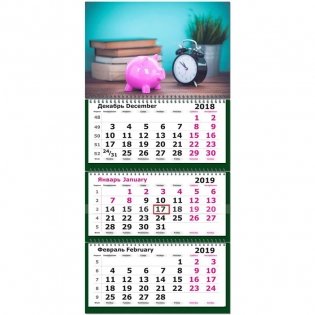 Календарь настенный трехблочный на 2019 год "Символ Года. Розовая свинка", 330х730 мм фото книги