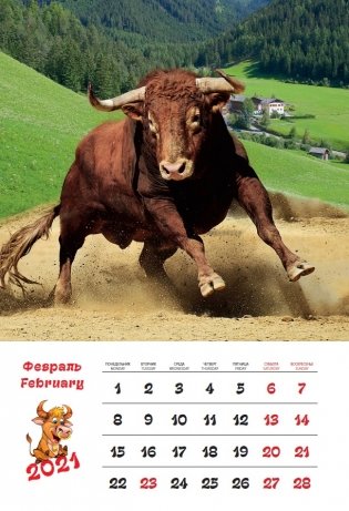 Календарь на 2021 год "Символ года" (КР21-21039) фото книги 3
