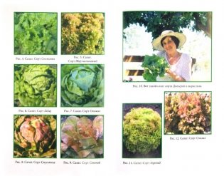 Ранние овощи на вашем участке фото книги 2