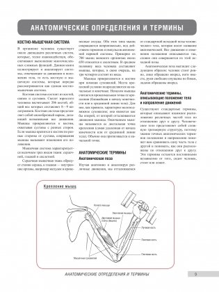 Анатомия фитнеса и силовых упражнений для женщин фото книги 6