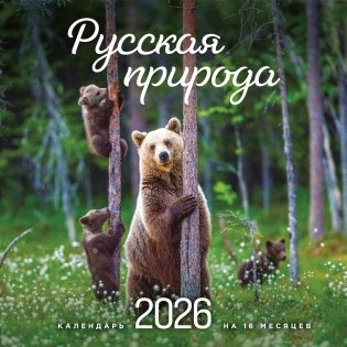 Русская природа. Календарь настенный на 16 месяцев на 2026 год (300х300 мм) фото книги