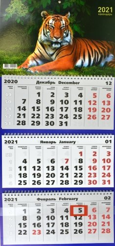 Календарь квартальный на 2021 год, трехблочный "Дикие животные", 305x680 мм фото книги 2