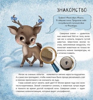 Финляндия. Страна тысячи озёр фото книги 2