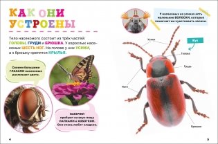 Насекомые. Первая энциклопедия малыша фото книги 2