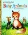 Baby Animals фото книги маленькое 2