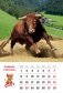 Календарь на 2021 год "Символ года" (КР21-21039) фото книги маленькое 4