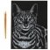 Гравюра, 18х24 см, бенгальская кошка, цветная фото книги маленькое 3