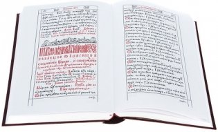 Требник митрополита Петра Могилы (количество томов: 2) фото книги 3