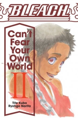Bleach: Can't Fear Your Own World. Volume 2 фото книги