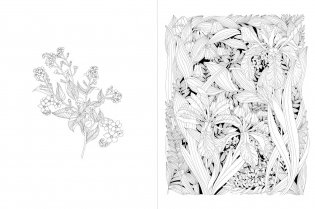 Leila Duly’s Walk in the Woods colouring book фото книги 2