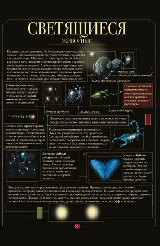 Диковинные животные фото книги 5