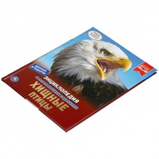 Энциклопедия. Хищные птицы фото книги 5