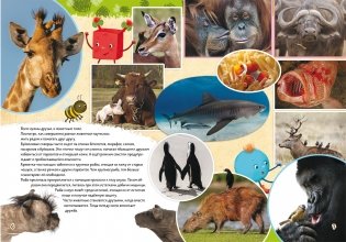 Школа почемучки. Удивительные животные. 60 развивающих наклеек фото книги 2