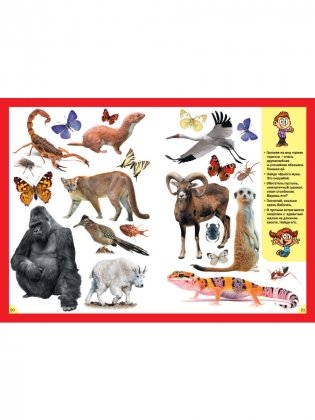 Животные. Для детей от 3 до 6 лет фото книги 5