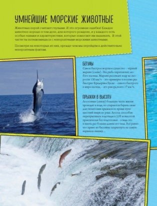 Энциклопедия животных: на суше, под водой и в воздухе фото книги 7
