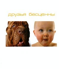 Друзья бесценны фото книги