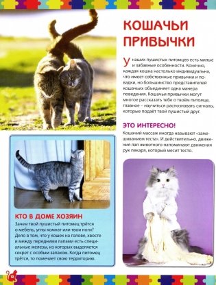 Моя первая книга о кошках и котятах. Детская энциклопедия фото книги 2
