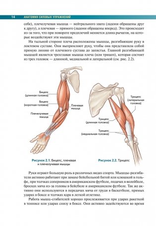 Анатомия силовых упражнений с использованием в качестве отягощения собственного веса фото книги 9