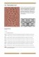 Библия аранских узоров. 120 рельефных мотивов с косами, жгутами и шишечками фото книги маленькое 7