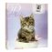 Фотоальбом "Lovely kittens", (500 фотографий) фото книги маленькое 2