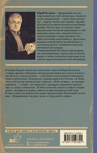 Небо падших фото книги 2