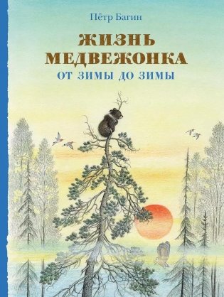 Жизнь медвежонка от зимы до зимы: рассказ  картинках фото книги