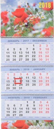 Квартальный календарь "Маки с ромашками" на 2018 год фото книги