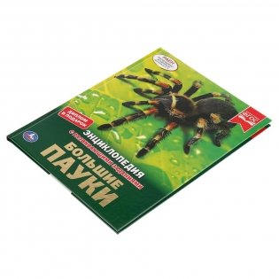 Большие пауки фото книги 5