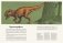 Динозавриум фото книги маленькое 7