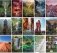 Календарь настенный перекидной на 2022 год "Красивые пейзажи", на спирали, 280х440 мм фото книги маленькое 5