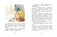 Гном Великаныч фото книги маленькое 6