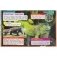 Энциклопедия с развивающими заданиями "Динозавры и рептилии" фото книги маленькое 6