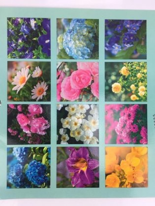 Календарь настенный перекидной на 2022 год "Цветы. 4", 280х435 мм фото книги 3