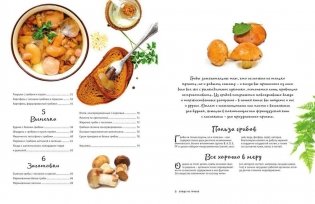 Блюда из грибов фото книги 5