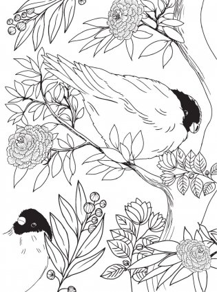 Райские птицы. Раскраска-антистресс для творчества и вдохновения фото книги 6