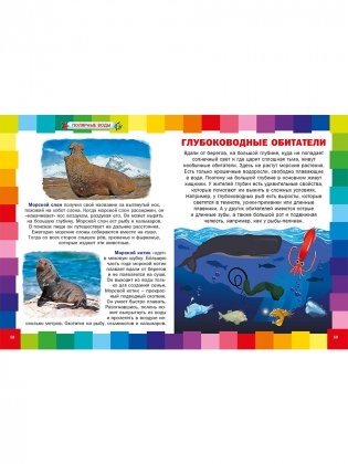 Удивительный подводный мир. Энциклопедия для малышей фото книги 7