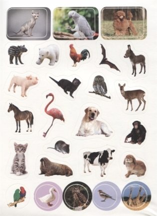 100 наклеек. Мир животных фото книги 3
