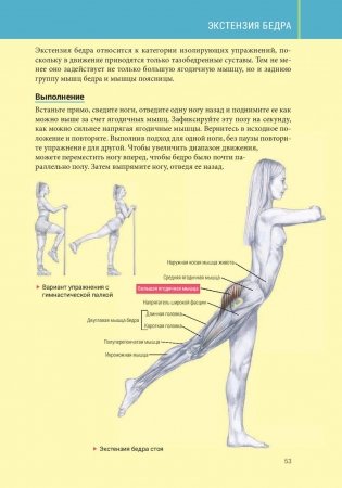 Анатомия силовых тренировок для женщин фото книги 10