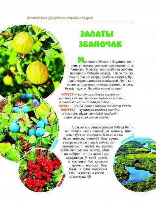 Едзем да бабулі ў вёску фото книги 4