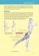Анатомия силовых тренировок для женщин фото книги маленькое 11