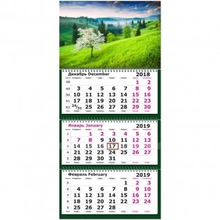 Календарь настенный трехблочный на 2019 год "Цветущее дерево", 330х730 мм фото книги