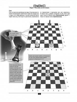 Шахматы. Самый полный самоучитель для начинающих фото книги 4