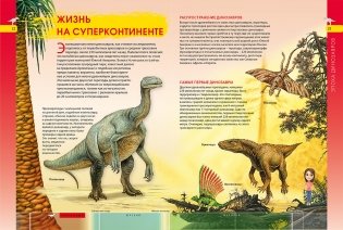 Динозавры. Энциклопедия для мальчиков и девочек фото книги 4