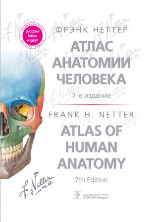 Атлас анатомии человека: терминология на русском, латинском и английском языках фото книги