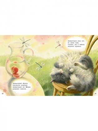 Акварельные коты фото книги 7
